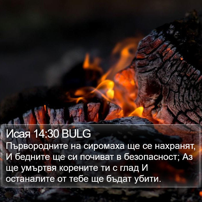 Исая 14:30 BULG Bible Study