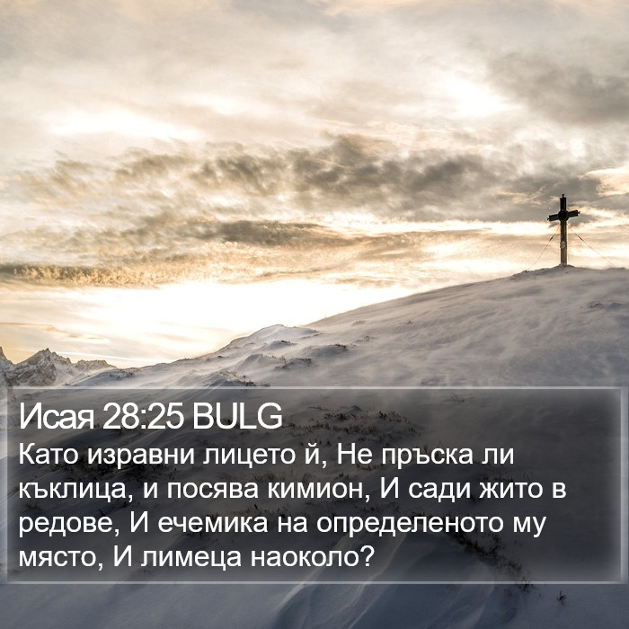 Исая 28:25 BULG Bible Study