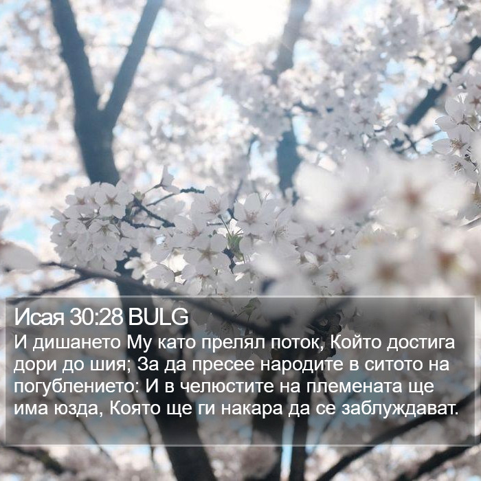 Исая 30:28 BULG Bible Study