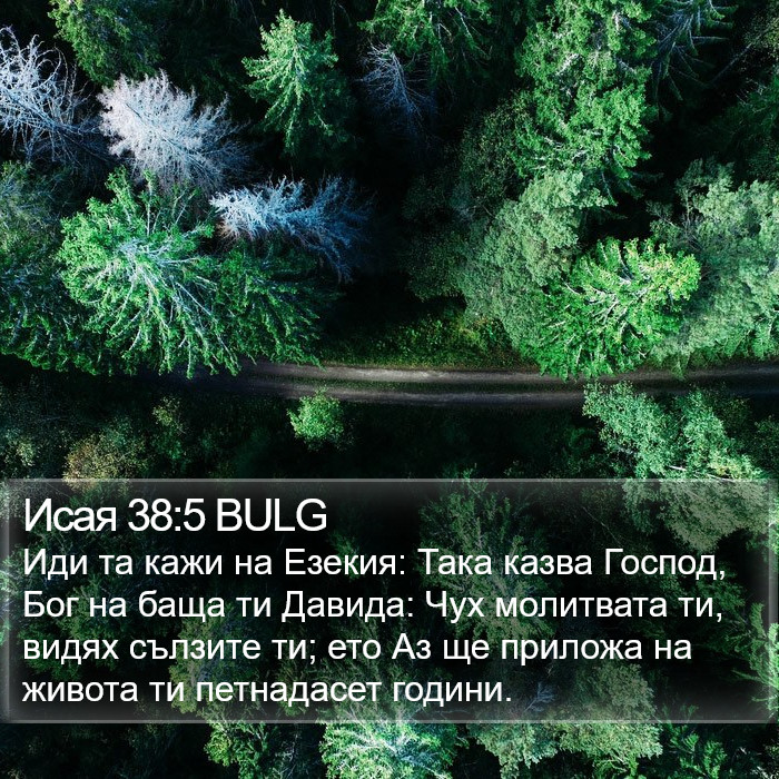 Исая 38:5 BULG Bible Study