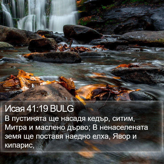 Исая 41:19 BULG Bible Study