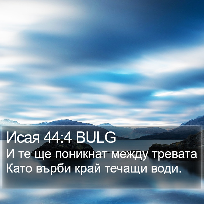 Исая 44:4 BULG Bible Study