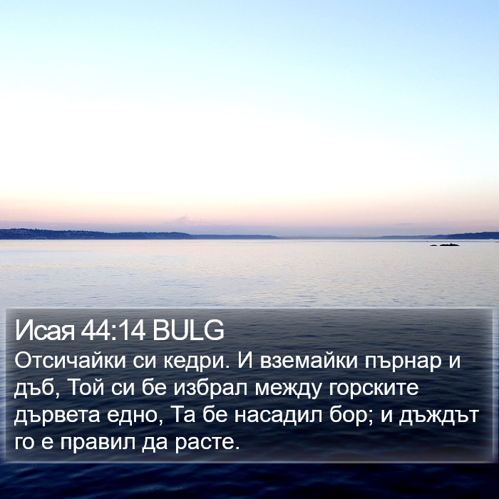 Исая 44:14 BULG Bible Study