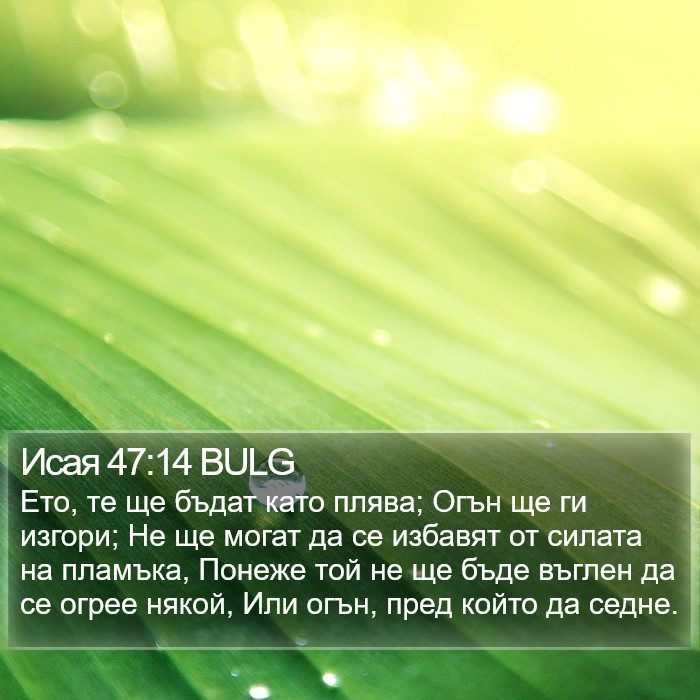 Исая 47:14 BULG Bible Study