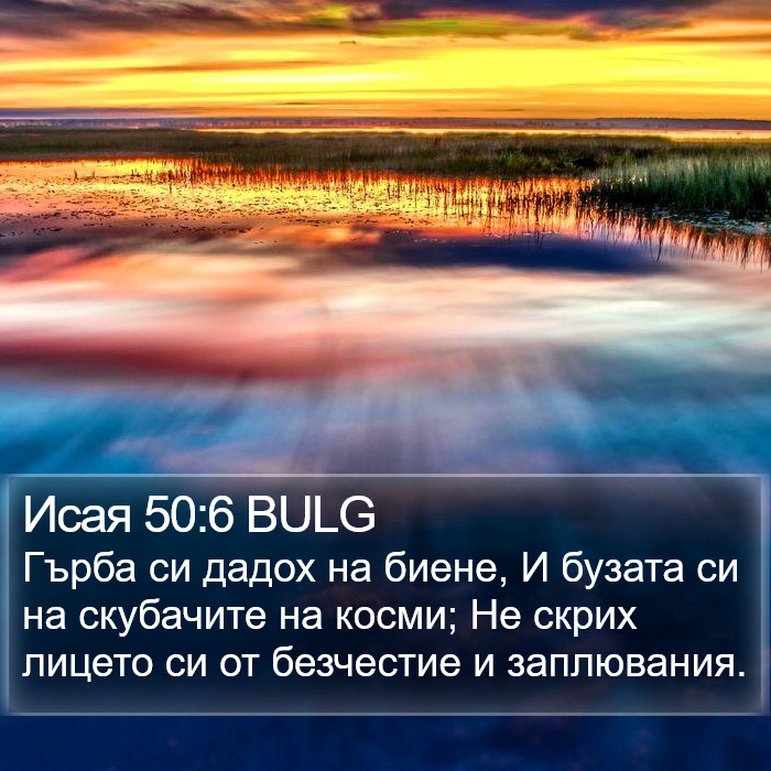 Исая 50:6 BULG Bible Study