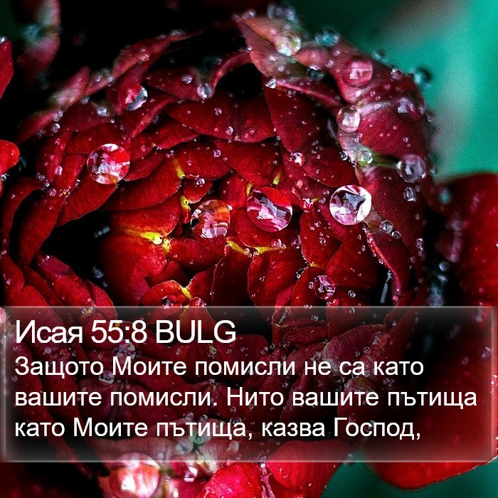 Исая 55:8 BULG Bible Study