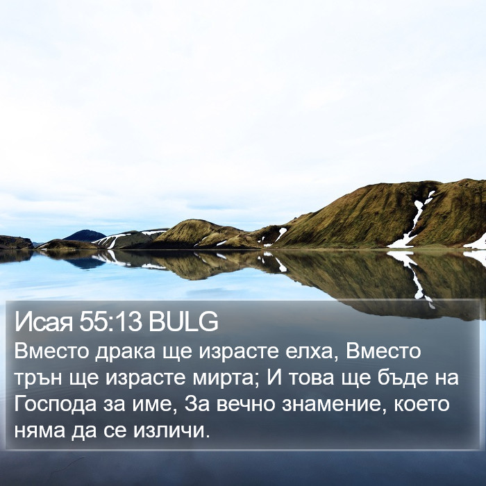 Исая 55:13 BULG Bible Study