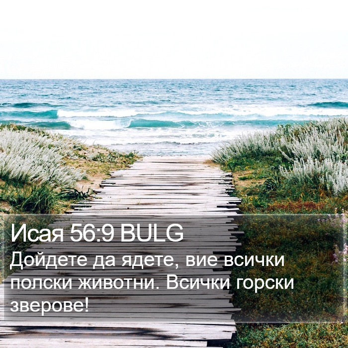 Исая 56:9 BULG Bible Study