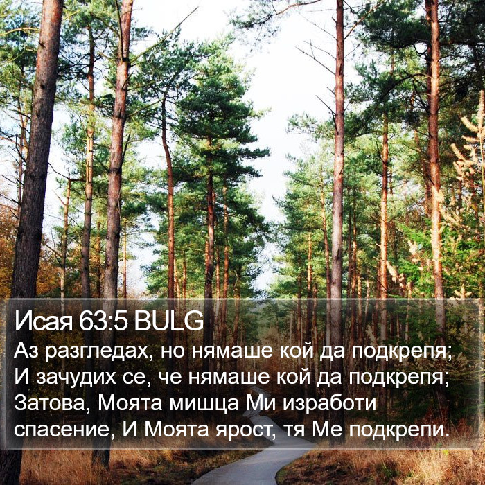 Исая 63:5 BULG Bible Study