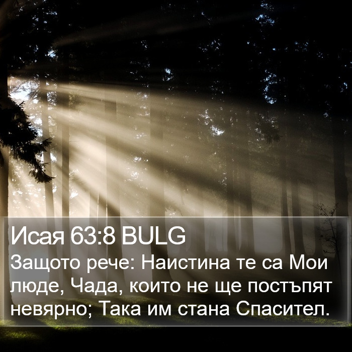 Исая 63:8 BULG Bible Study