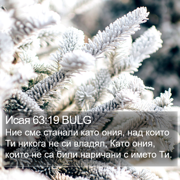 Исая 63:19 BULG Bible Study