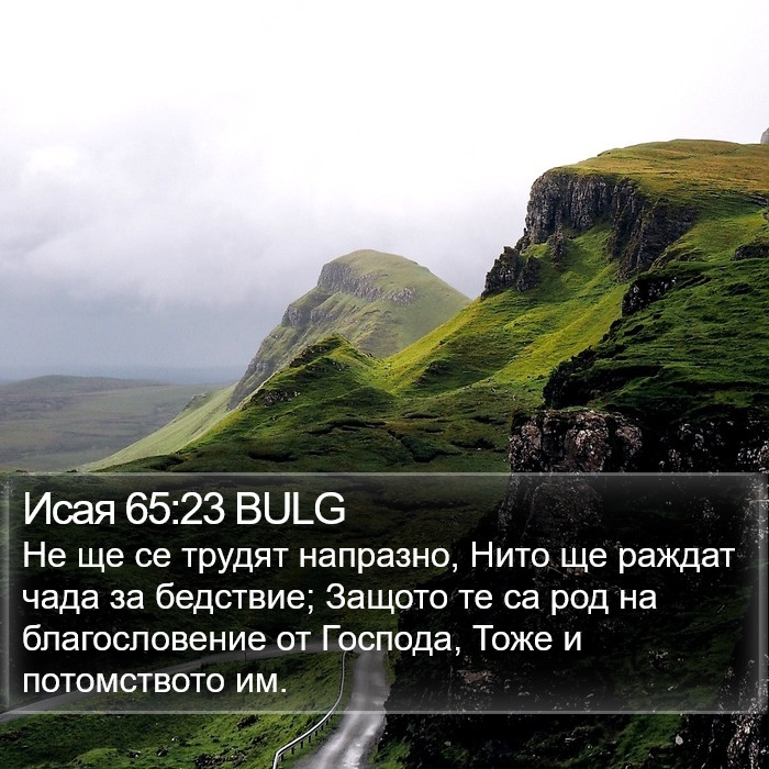 Исая 65:23 BULG Bible Study