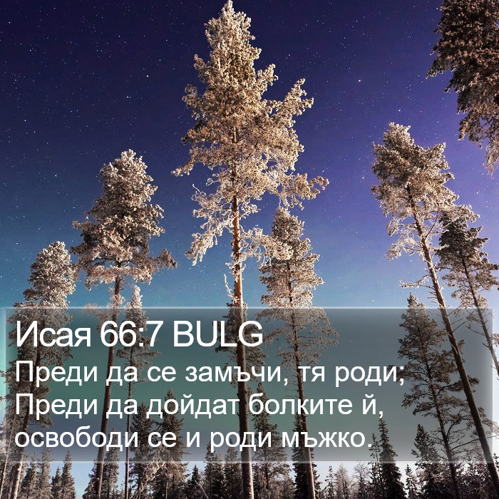 Исая 66:7 BULG Bible Study