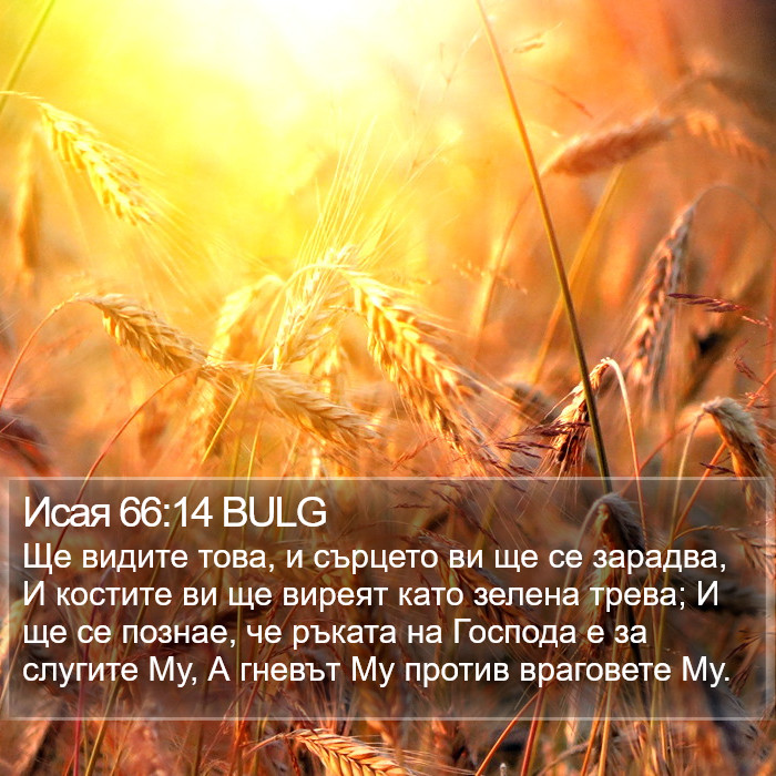 Исая 66:14 BULG Bible Study