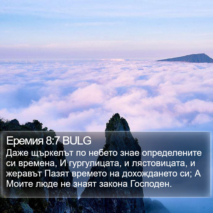 Еремия 8:7 BULG Bible Study