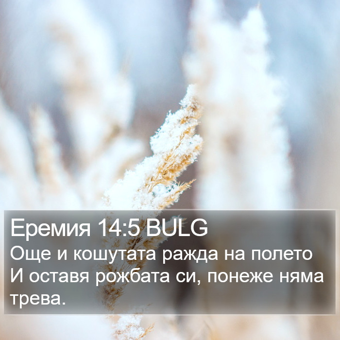 Еремия 14:5 BULG Bible Study