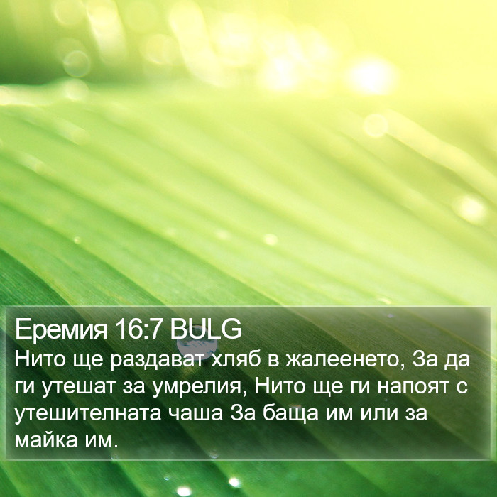 Еремия 16:7 BULG Bible Study