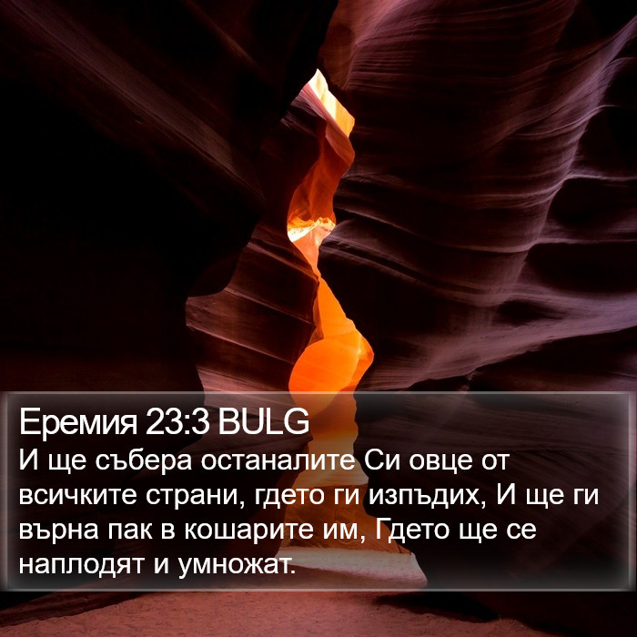 Еремия 23:3 BULG Bible Study