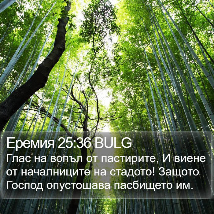 Еремия 25:36 BULG Bible Study