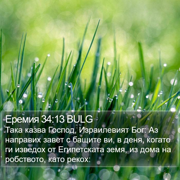 Еремия 34:13 BULG Bible Study