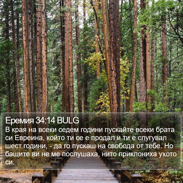 Еремия 34:14 BULG Bible Study