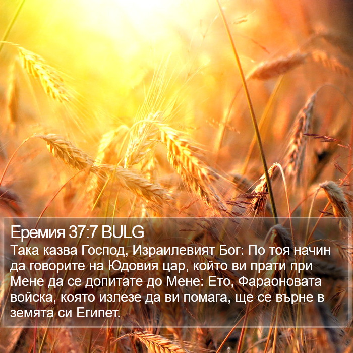 Еремия 37:7 BULG Bible Study