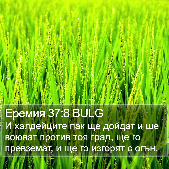 Еремия 37:8 BULG Bible Study