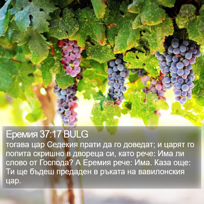 Еремия 37:17 BULG Bible Study