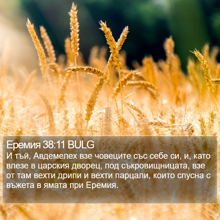 Еремия 38:11 BULG Bible Study