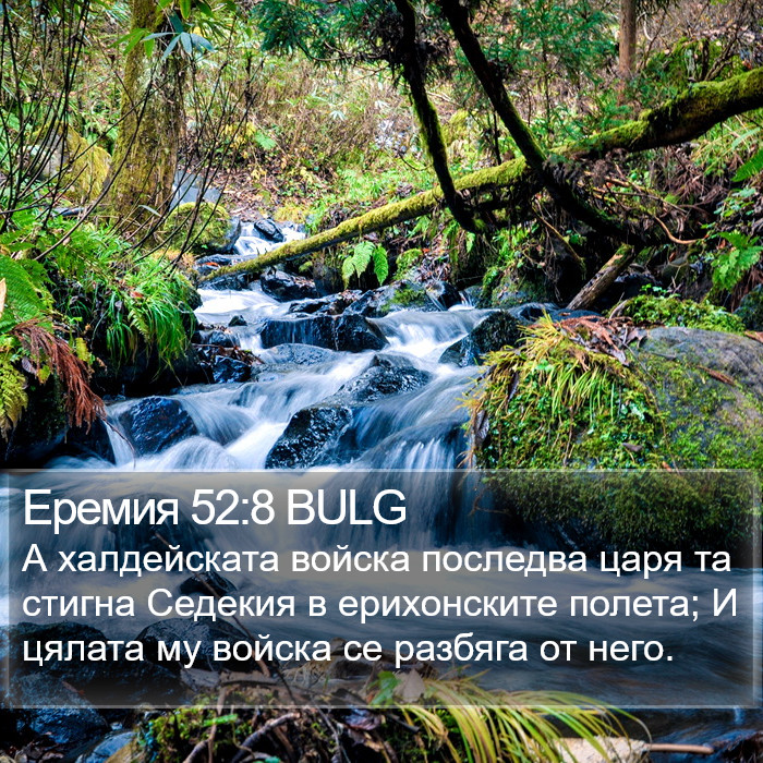 Еремия 52:8 BULG Bible Study