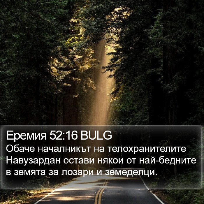 Еремия 52:16 BULG Bible Study