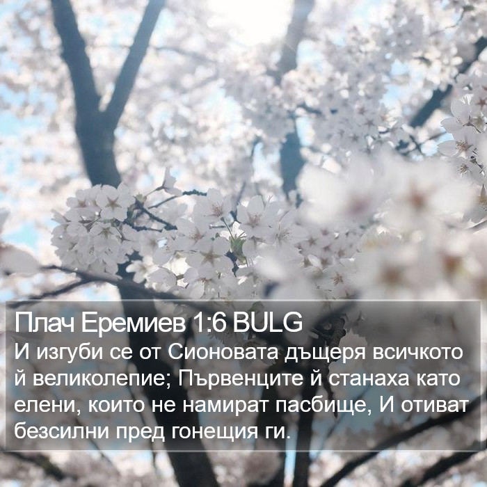 Плач Еремиев 1:6 BULG Bible Study