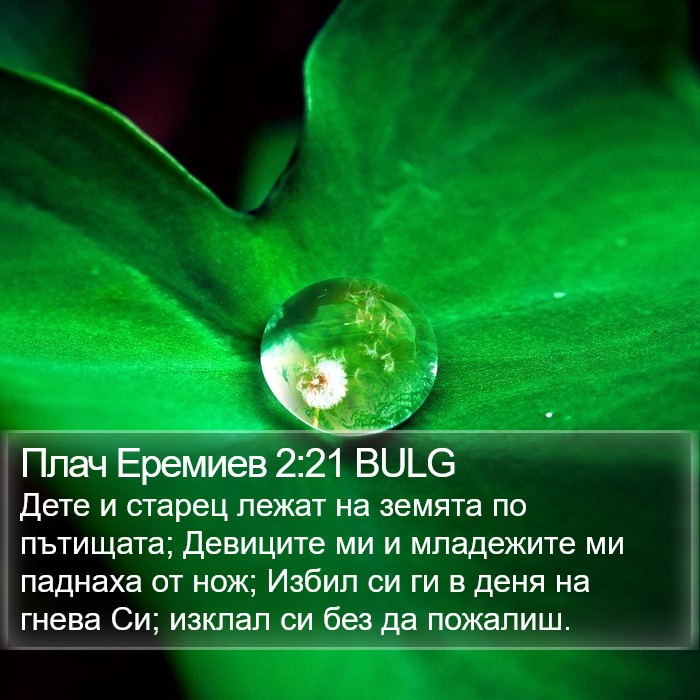 Плач Еремиев 2:21 BULG Bible Study