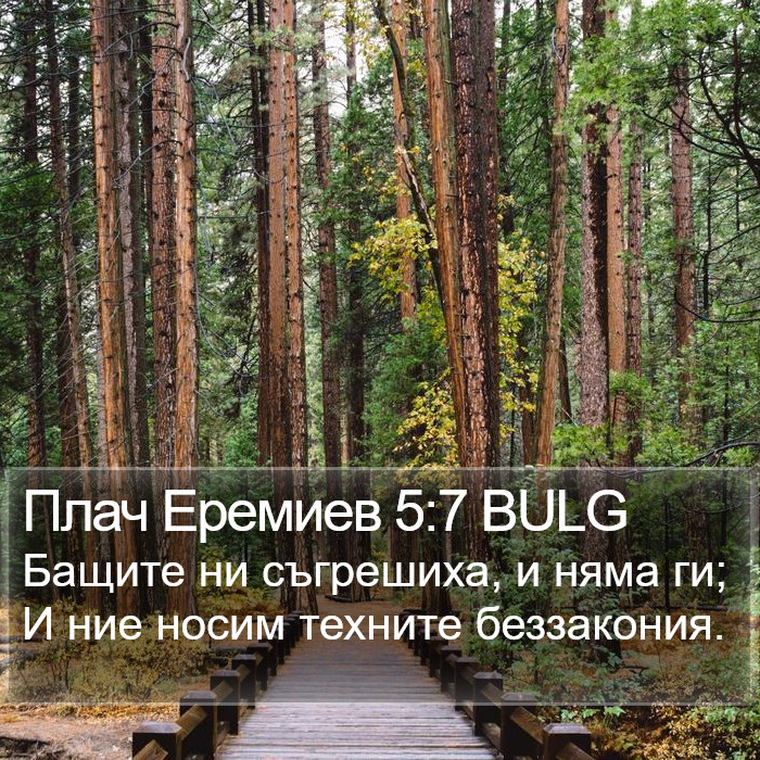 Плач Еремиев 5:7 BULG Bible Study