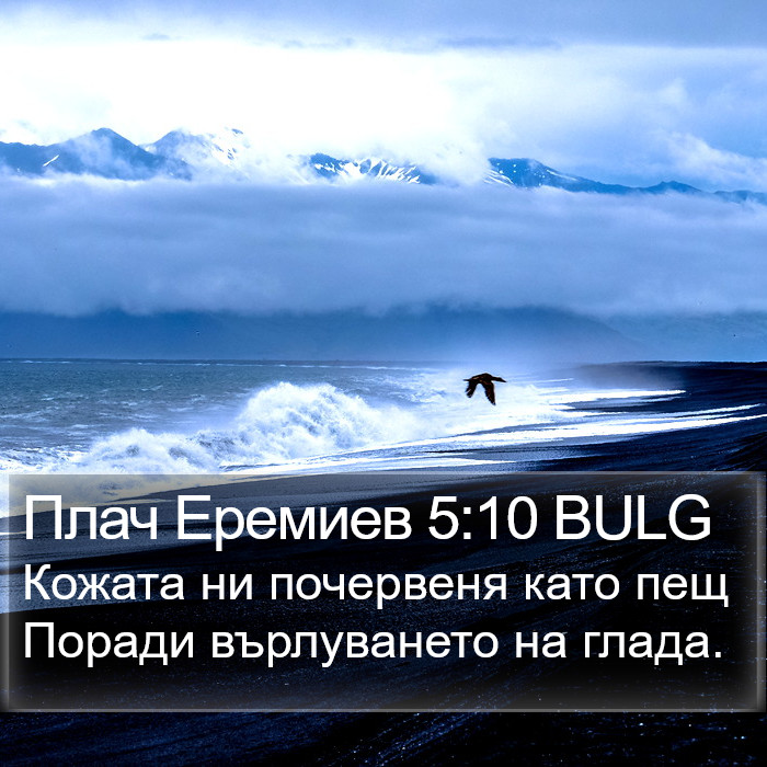 Плач Еремиев 5:10 BULG Bible Study