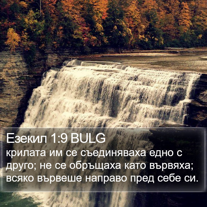 Езекил 1:9 BULG Bible Study