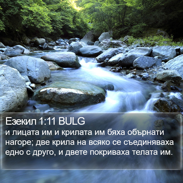 Езекил 1:11 BULG Bible Study