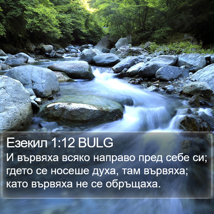 Езекил 1:12 BULG Bible Study