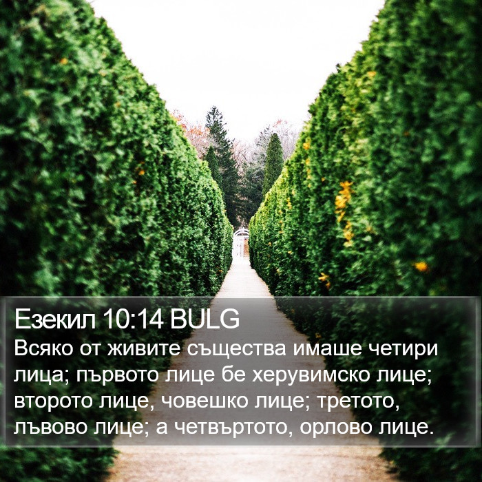 Езекил 10:14 BULG Bible Study