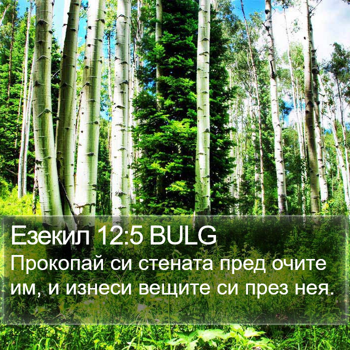 Езекил 12:5 BULG Bible Study