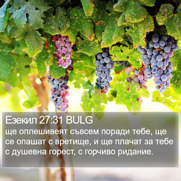 Езекил 27:31 BULG Bible Study