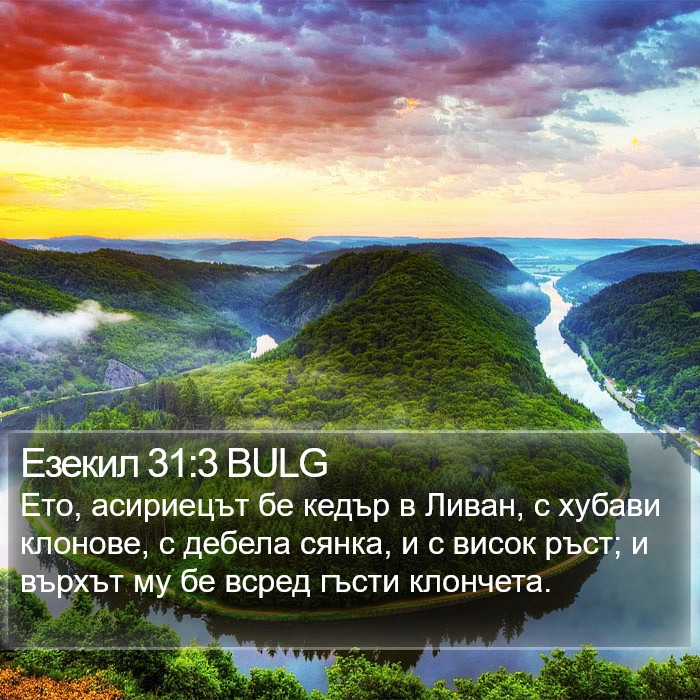 Езекил 31:3 BULG Bible Study