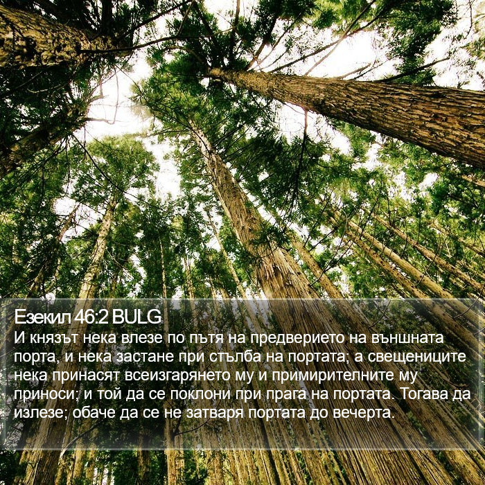 Езекил 46:2 BULG Bible Study