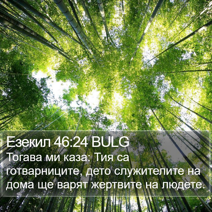 Езекил 46:24 BULG Bible Study