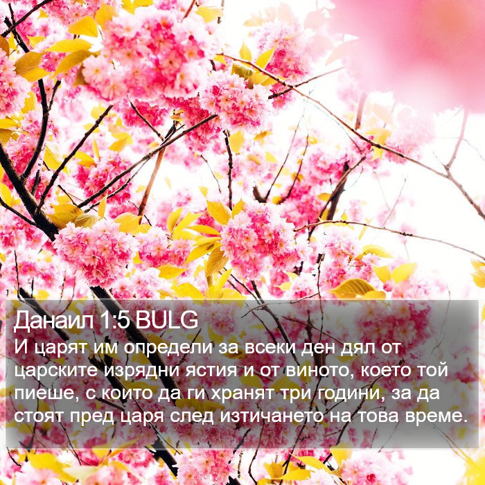 Данаил 1:5 BULG Bible Study