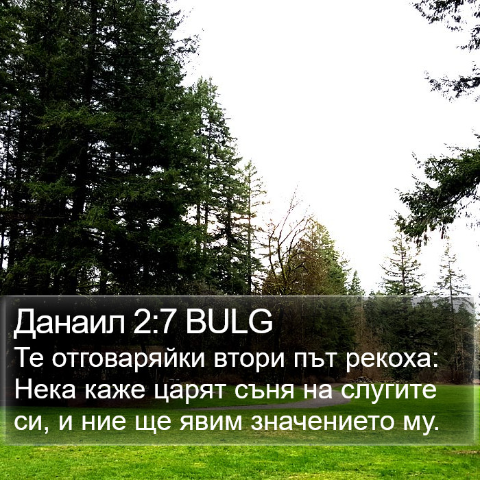 Данаил 2:7 BULG Bible Study
