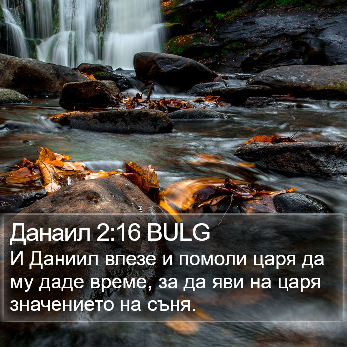 Данаил 2:16 BULG Bible Study