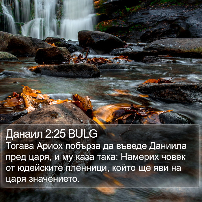 Данаил 2:25 BULG Bible Study