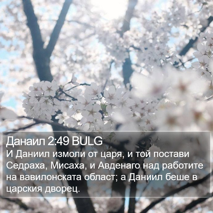 Данаил 2:49 BULG Bible Study