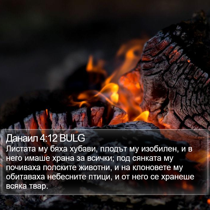 Данаил 4:12 BULG Bible Study